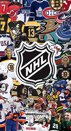 HOKEY USA